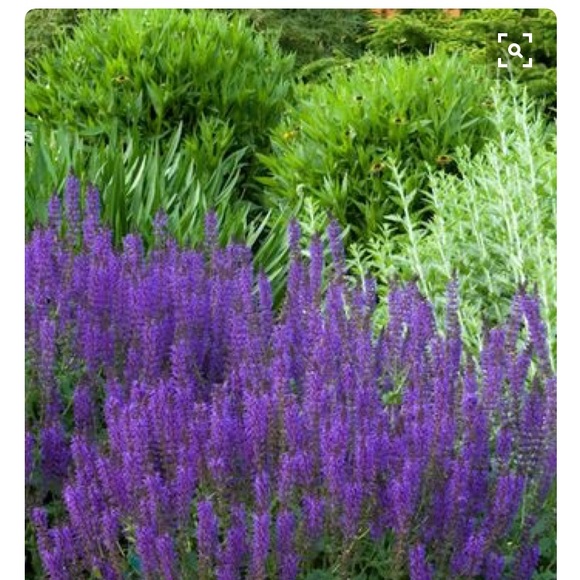 Meet your Posher, Adrine - Picture 1 of 1